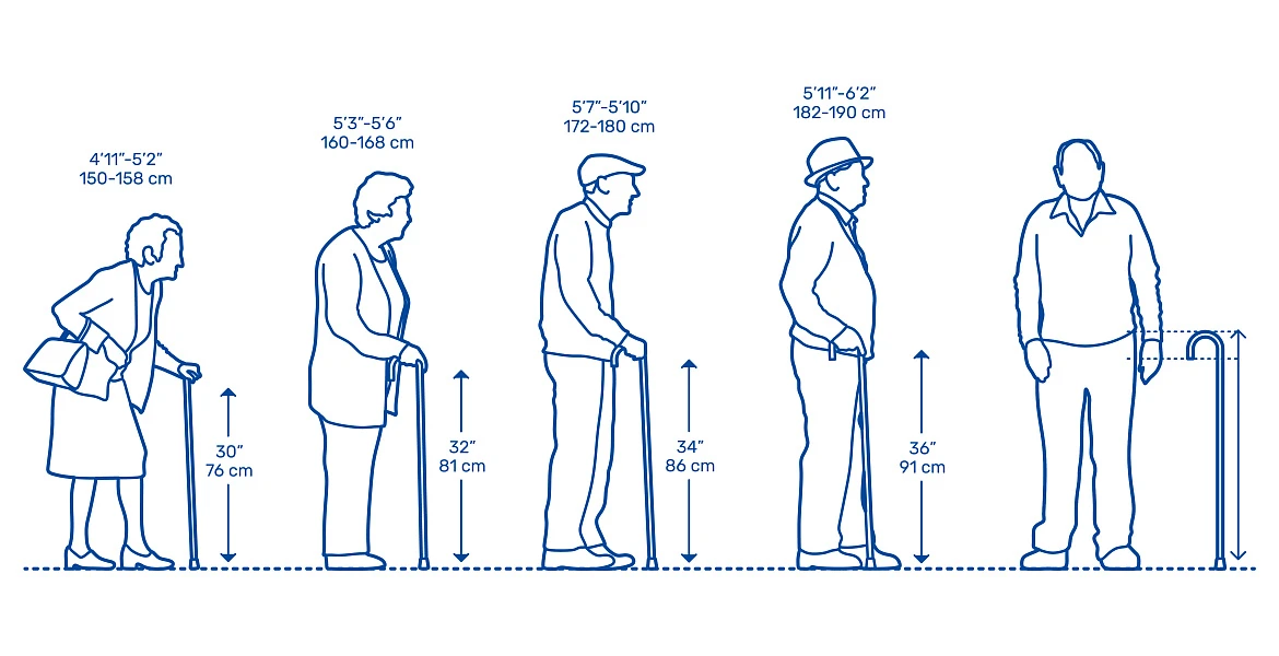 Как правильно подобрать трость. Палка для ходьбы пожилым людям. Высота трости для ходьбы. Выбор трости для пожилых людей. Трость телескопическая для ходьбы.